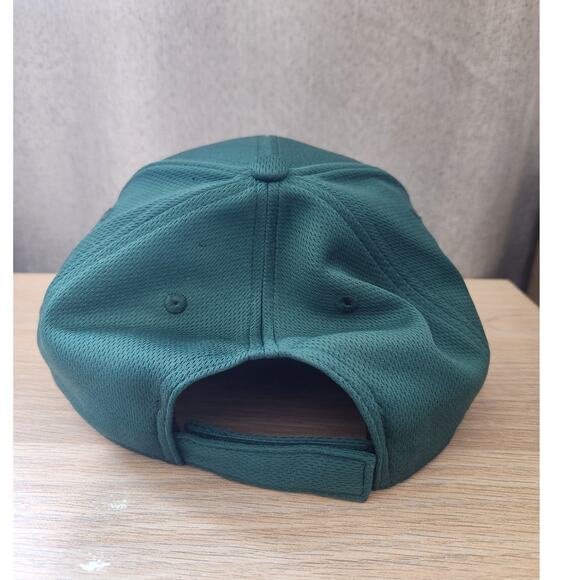 FORT WAYNE TINCAPS Hat Minor League Baseball Cap MiLB Youth Adjustable New wTags - Picture 3 of 10